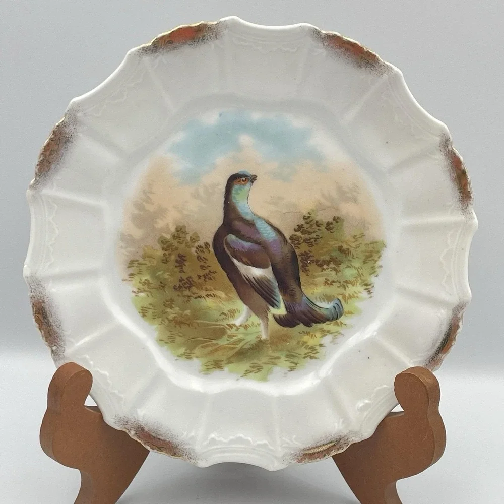 Antique 1920s Silesia‎ Germany Game Bird Scenic Porcelain Cabinet Plate 8